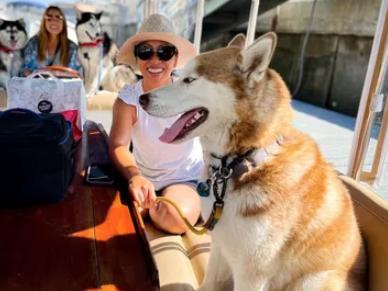 Two Huskies on Duffy boat