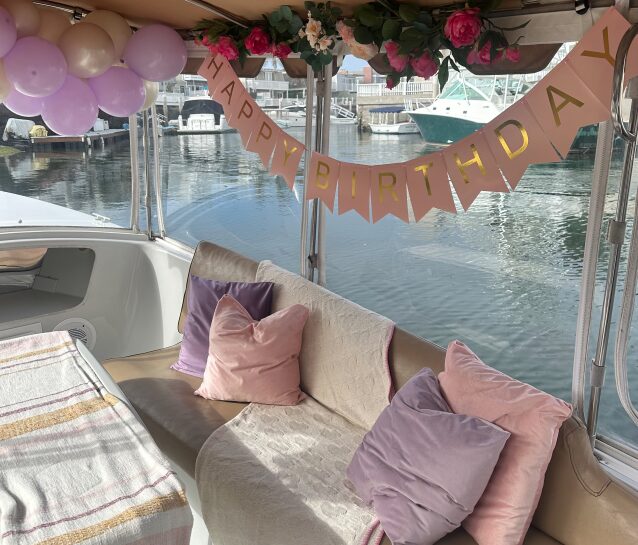 Happy birthday banner lavender pillows