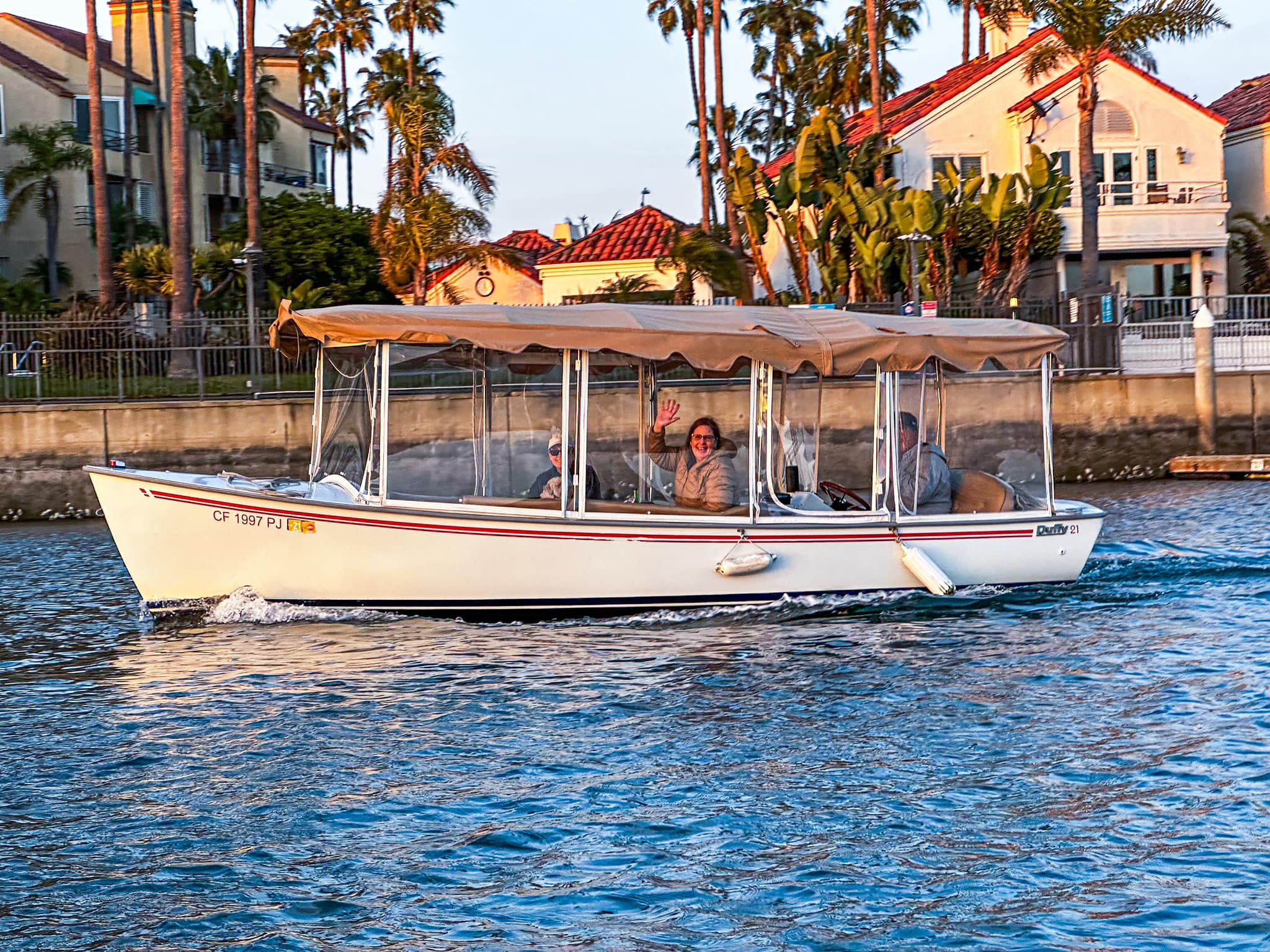 Duffy cruising past palm trees